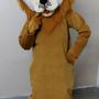 Lion Mascot Lion Mascot